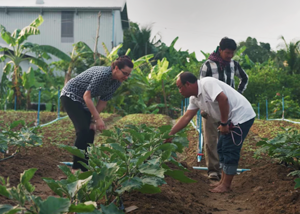 a professor helping people in a field in Cambodia