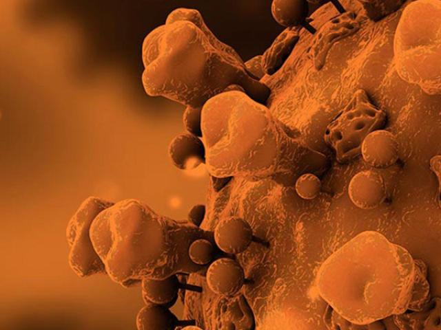 closeup of a coronavirus bacterium